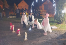 96d170df-d728-4736-943f-6a28cdd2100a