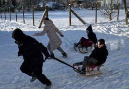 cc36acd6-2520-40a9-ba6e-5975e3d92458