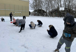 fd5c8e61-aa23-4f1f-adf6-83ae23fb1c1a