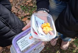 geocaching2
