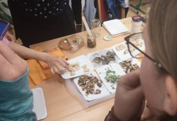 img_20260328_150134