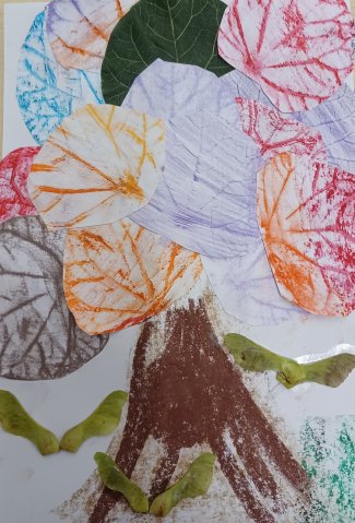 szeptember_tormasi_nora_oszi_fa