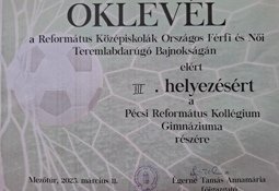 fokep_mezotur