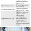 kre-junior-akadmia-szr-la4_2022_08_online_page-0006